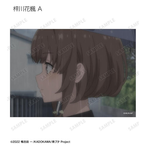 『青春ブタ野郎はランドセルガールの夢を見ない』トレーディング場面写ブロマイド(単位/BOX)【202509再販】